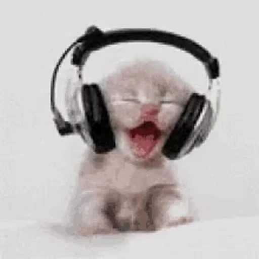 🎧 Стикер «Мемы и реакции» для Telegram