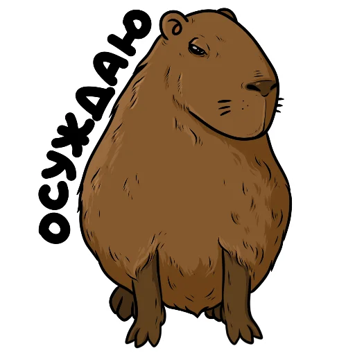 🤨 Стикер «Капи» для Telegram