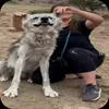 🤩 Эмодзи «Волчатко» для Telegram