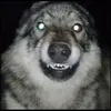 😜 Эмодзи «Волчатко» для Telegram
