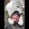 🤩 Эмодзи «Волчатко» для Telegram