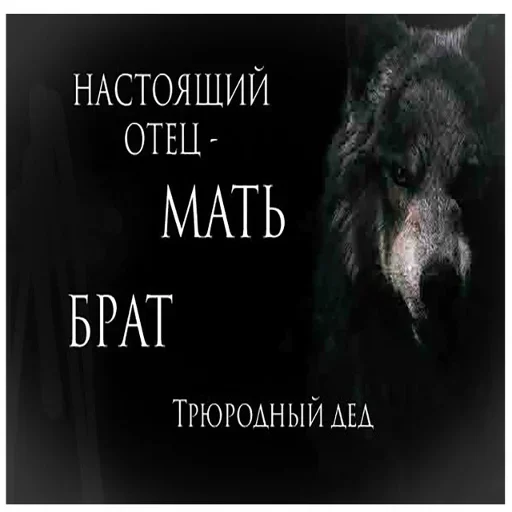 😌 Стикер «Волчья Стая» для Telegram