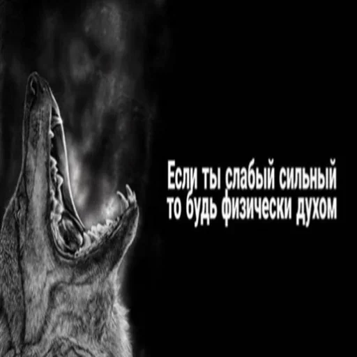 😉 Стикер «Волчья Стая» для Telegram