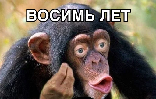 Стикерпак 8let для Telegram — скачать