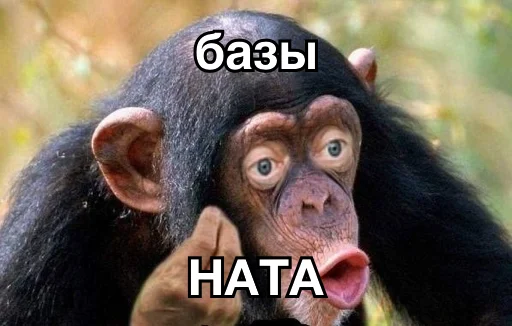 🤬 Стикер «8let» для Telegram