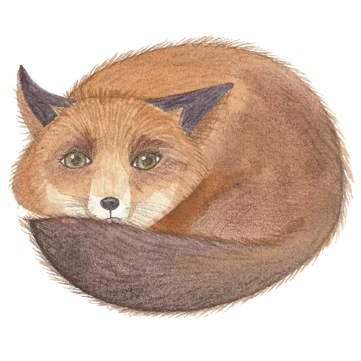 🤓 Стикер «Hare brained» для Telegram