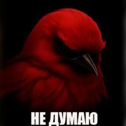 🤩 Стикер «Birds Memes» для Telegram
