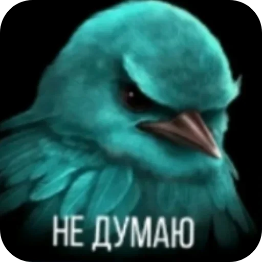 🐦 Стикер «Birds Memes» для Telegram