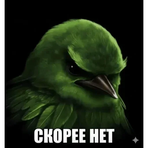 🐦 Стикер «Birds Memes» для Telegram