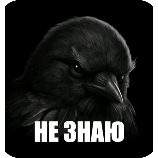 🐦 Стикер «Birds Memes» для Telegram