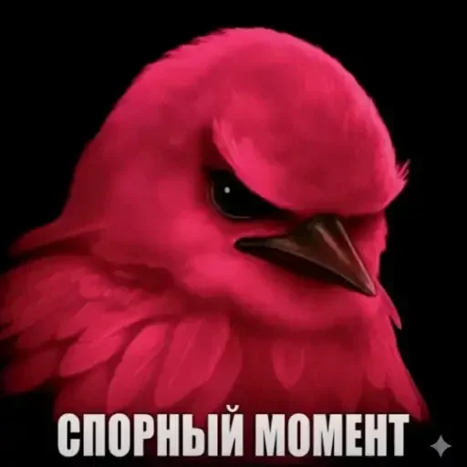 🐦 Стикер «Birds Memes» для Telegram