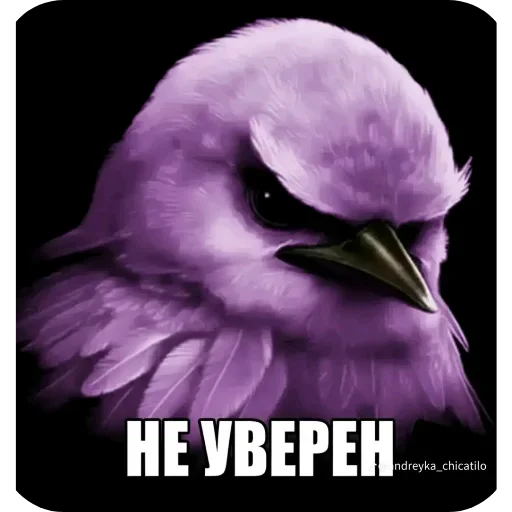 🐦 Стикер «Birds Memes» для Telegram