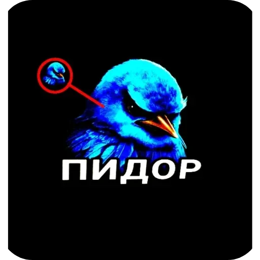 🐦 Стикер «Birds Memes» для Telegram