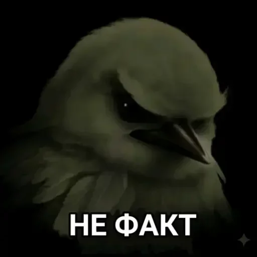 🐦 Стикер «Birds Memes» для Telegram