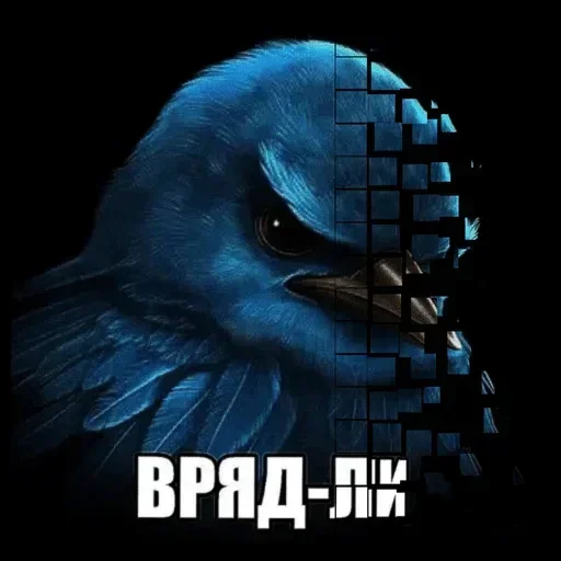 🐦 Стикер «Birds Memes» для Telegram