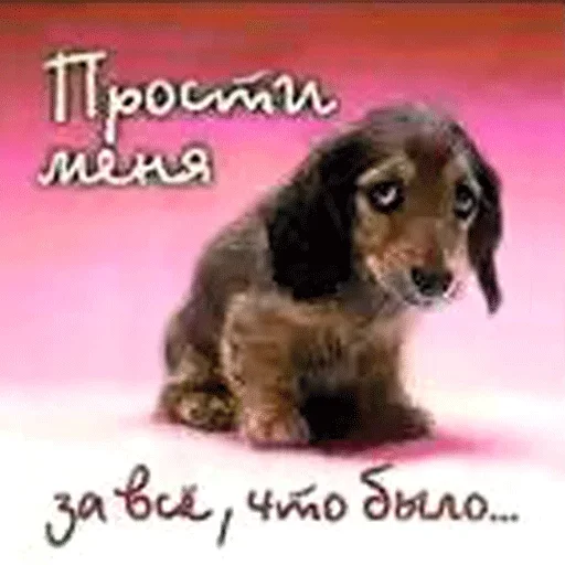 😜 Стикер «Всратые Одноклассники» для Telegram