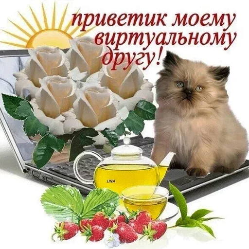 🤧 Стикер «Всратые Одноклассники» для Telegram