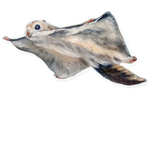 🐿 Стикер «Vulpino» для Telegram