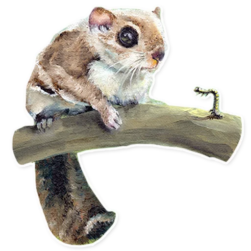 🐛 Стикер «Vulpino» для Telegram