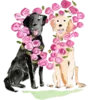 🐕 Эмодзи «Vesna» для Telegram