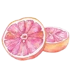 🍊 Эмодзи «Vesna» для Telegram