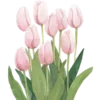 🌹 Эмодзи «Vesna» для Telegram