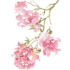 🌺 Эмодзи «Vesna» для Telegram