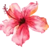 🌺 Эмодзи «Vesna» для Telegram