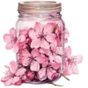 🌺 Эмодзи «Vesna» для Telegram