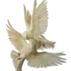 🐦‍⬛ Эмодзи «👼 vintage» для Telegram