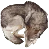 🤩 Эмодзи «Woods» для Telegram