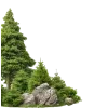 🤩 Эмодзи «Woods» для Telegram