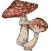 🤩 Эмодзи «Woods» для Telegram