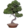 🌳 Эмодзи «японское искусство» для Telegram