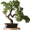 🌳 Эмодзи «японское искусство» для Telegram