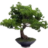 🌳 Эмодзи «японское искусство» для Telegram