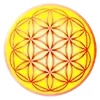 🪷 Эмодзи «Warm #status #cute #color» для Telegram