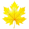 🍁 Эмодзи «Warm #status #cute #color» для Telegram
