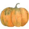 🎃 Эмодзи «Акварельная Осень» для Telegram