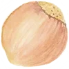 🌰 Эмодзи «Акварельная Осень» для Telegram