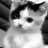 🥹 Эмодзи «wbw #girl» для Telegram