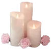 🤩 Эмодзи «𝒔𝒐𝒇𝒕𝒄𝒐𝒓𝒆 ➮» для Telegram