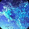 🌟 Эмодзи «web #girl #red» для Telegram
