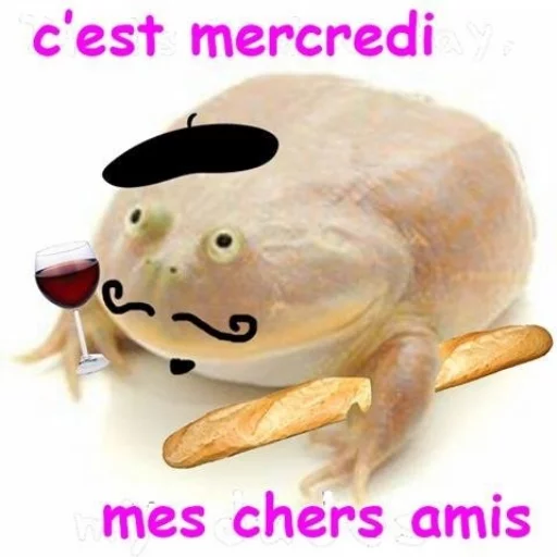 🇫🇷 Стикер «Wednesday My Dudes» для Telegram