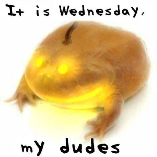 🎃 Стикер «Wednesday My Dudes» для Telegram