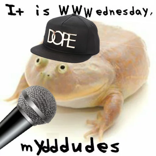 🎤 Стикер «Wednesday My Dudes» для Telegram