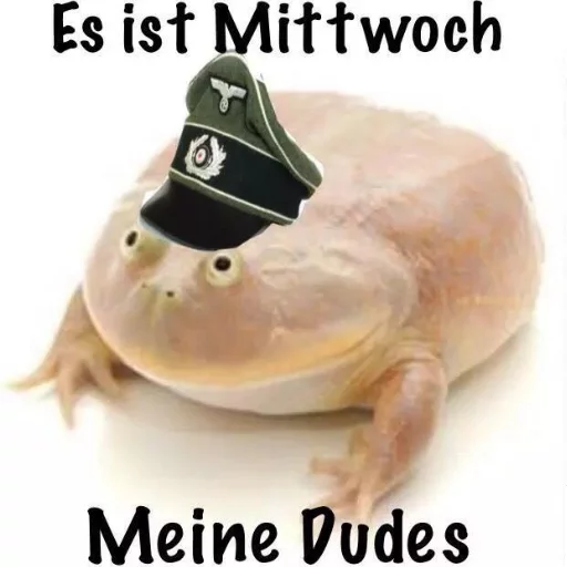 🇩🇪 Стикер «Wednesday My Dudes» для Telegram