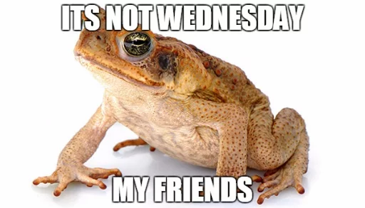 😞 Стикер «Wednesday My Dudes» для Telegram
