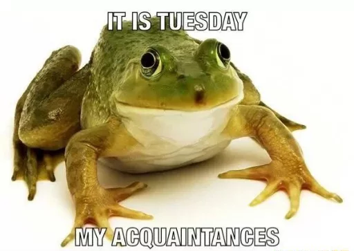 🌲 Стикер «Wednesday My Dudes» для Telegram