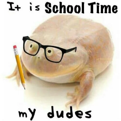 🏫 Стикер «Wednesday My Dudes» для Telegram